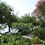 招待所 And By The Sea Trstenik, Peljesac - 4566 特雷斯塔尼克