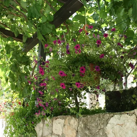 And By The Sea Trstenik, Peljesac - 4566 Pensjonat 3*