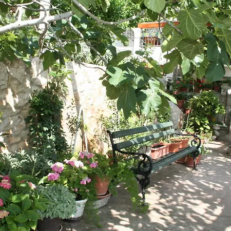 And By The Sea Trstenik, Peljesac - 4566 Pensjonat Trstenik (Dubrovnik-Neretva)